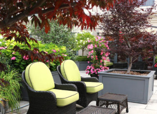 Condo penthouse terrace