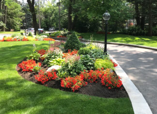 Making a colourful entrance