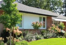 Dramatic before and after