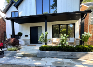 Modern Shade Gardens